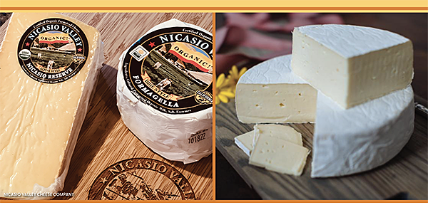 Nicasoi Valley Cheese Co & Valley Ford Cheese Creamery