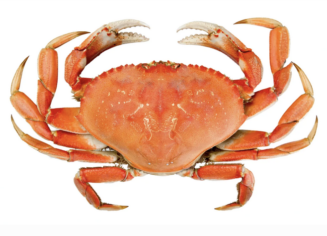 Crab Feed 2024 Benovia Winery