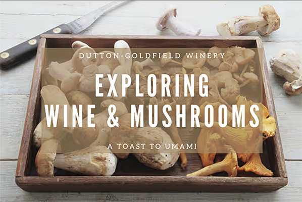 Exploring Wine & Mushrooms