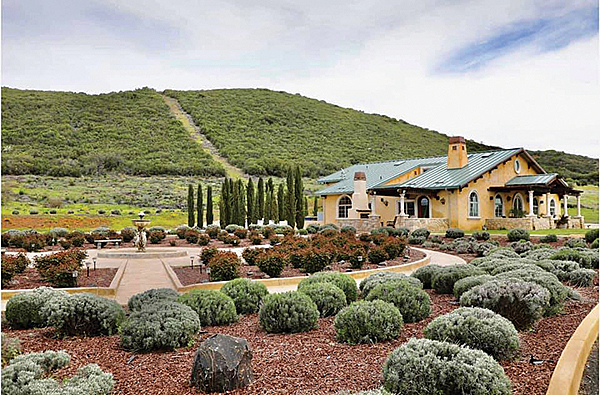 Thorn Hill Winery